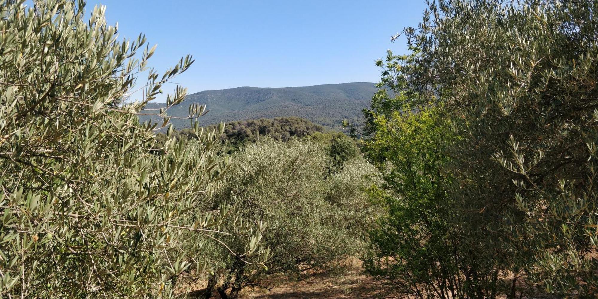 Villa Cigalons En Pleine Pinede Avec Piscine Chauffee De Mai A Septembre Auriol Luaran gambar