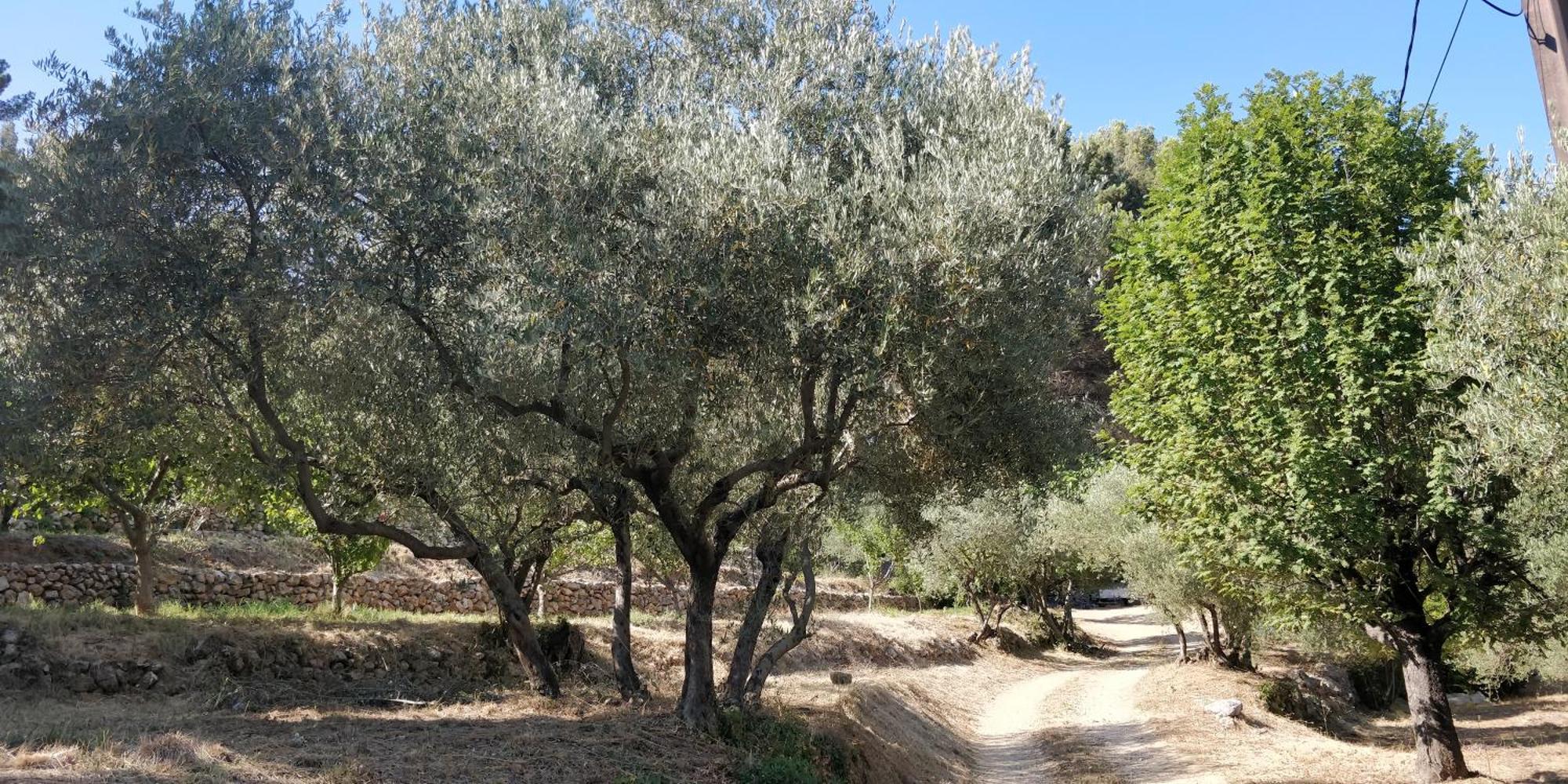 Villa Cigalons En Pleine Pinede Avec Piscine Chauffee De Mai A Septembre Auriol Luaran gambar