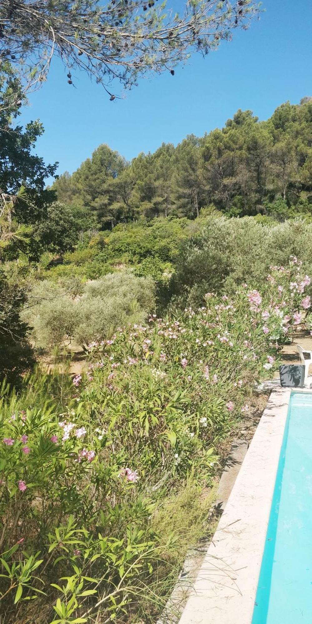 Villa Cigalons En Pleine Pinede Avec Piscine Chauffee De Mai A Septembre Auriol Luaran gambar