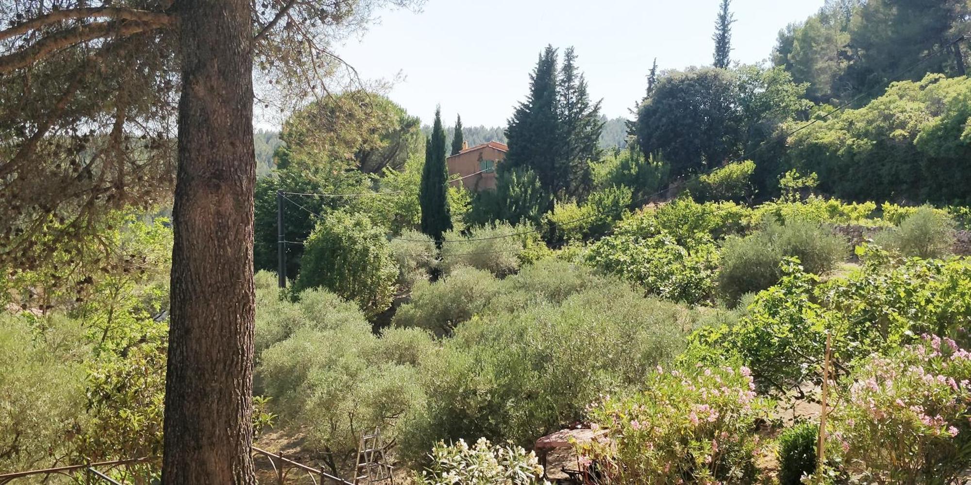 Villa Cigalons En Pleine Pinede Avec Piscine Chauffee De Mai A Septembre Auriol Luaran gambar