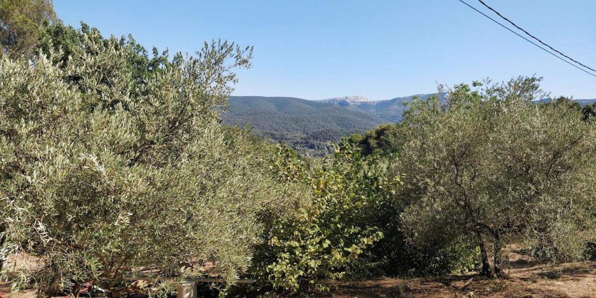 Villa Cigalons En Pleine Pinede Avec Piscine Chauffee De Mai A Septembre Auriol Luaran gambar