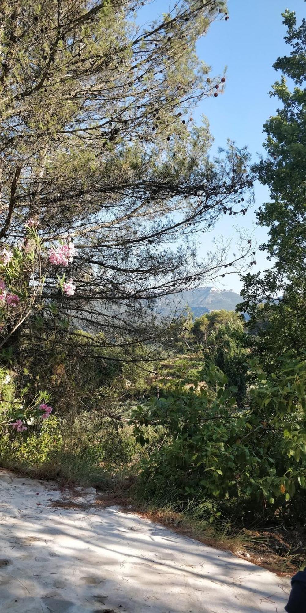 Villa Cigalons En Pleine Pinede Avec Piscine Chauffee De Mai A Septembre Auriol Luaran gambar